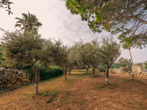 4 bed Farmhouse For Rent in Bahar ic-Caghaq, Bahar ic-Caghaq - thumb 8