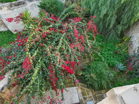 7 bed House of Character For Sale in Zabbar, Zabbar - thumb 9