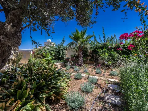 6 bed Farmhouse For Sale in Qala, Gozo, Qala, Gozo - thumb 19