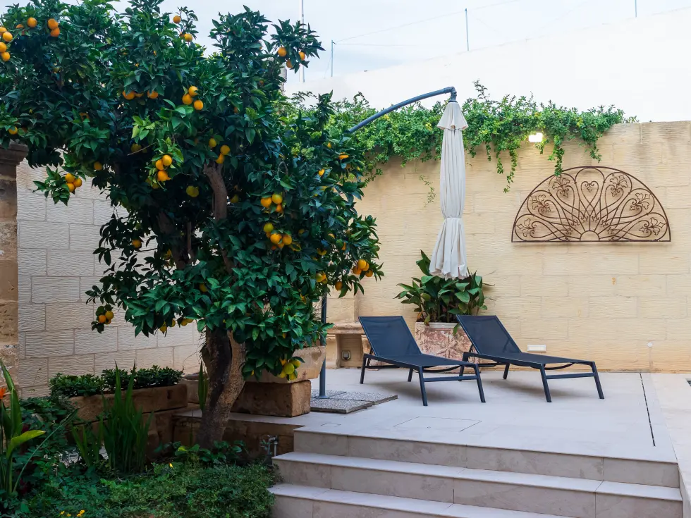 3 bed House of Character For Rent in Zurrieq, Zurrieq - thumb 3