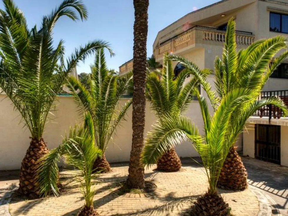 2 bed Villa For Rent in Mellieha, Mellieha - thumb 18