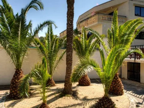 2 bed Villa For Rent in Mellieha, Mellieha - thumb 18