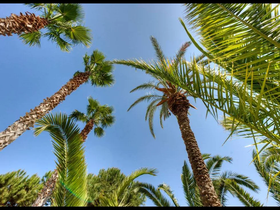 3 bed Villa For Rent in Mellieha, Mellieha - thumb 1