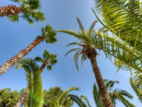 3 bed Villa For Rent in Mellieha, Mellieha - thumb 1