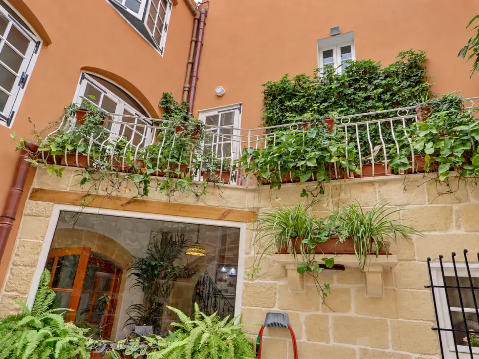 3 bed House of Character For Sale in Mosta, Mosta - thumb 13
