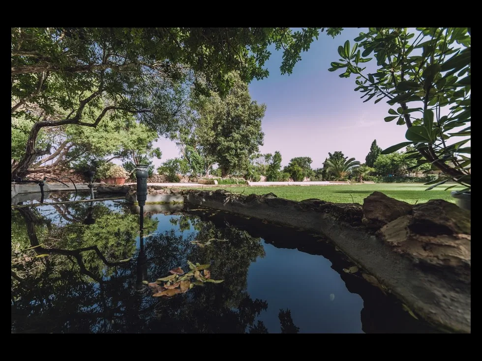 3 bed Villa For Sale in Zurrieq, Zurrieq - thumb 15