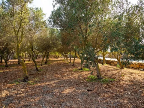 3 bed Villa For Sale in Zurrieq, Zurrieq - thumb 17