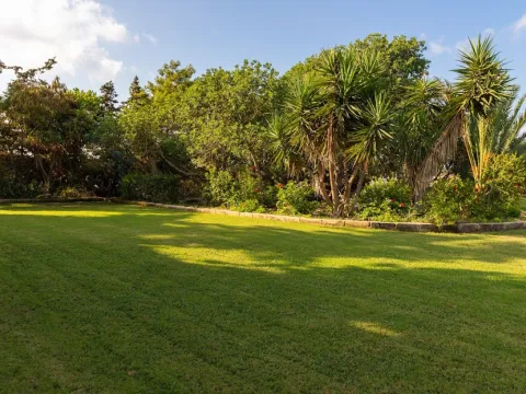 3 bed Villa For Sale in Zurrieq, Zurrieq - thumb 5