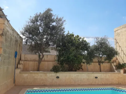 3 bed Apartment For Rent in Gharb, Gozo, Gharb, Gozo - thumb 9