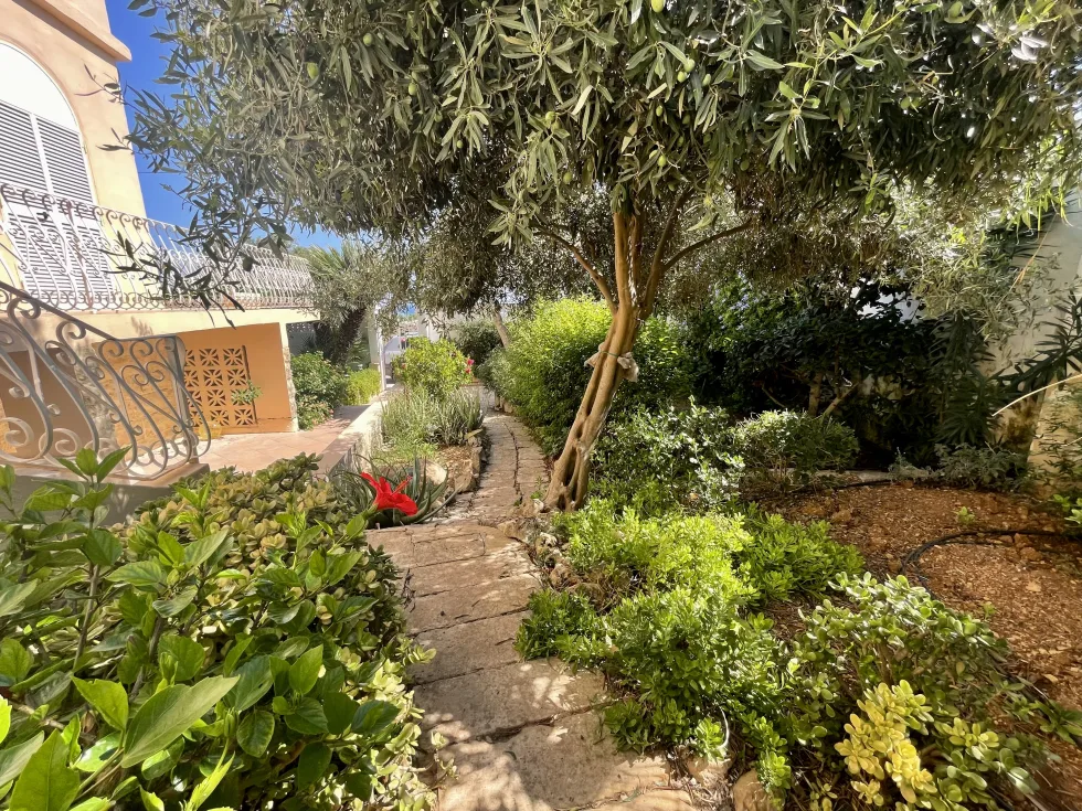 3 bed Villa For Rent in Madliena, Madliena - thumb 14