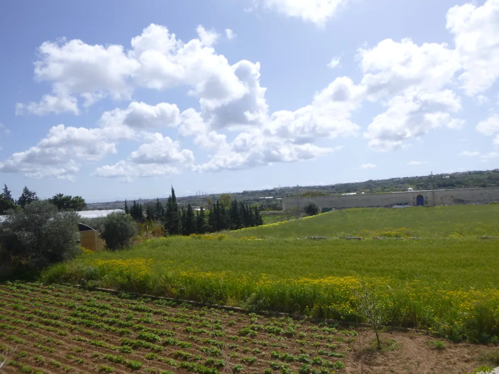 5 bed Villa For Rent in Attard, Attard - thumb 9