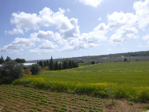 5 bed Villa For Rent in Attard, Attard - thumb 9