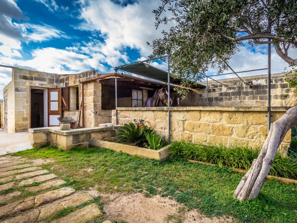 3 bed Villa For Sale in Naxxar, Naxxar - thumb 18