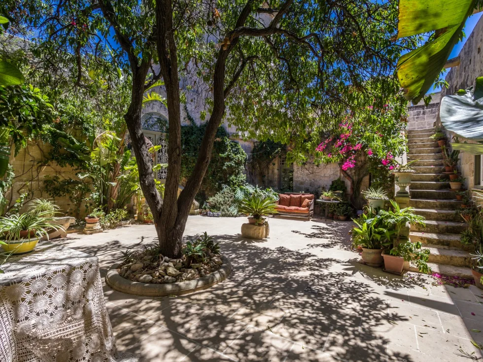 3 bed House of Character For Sale in Qrendi, Qrendi - thumb 10