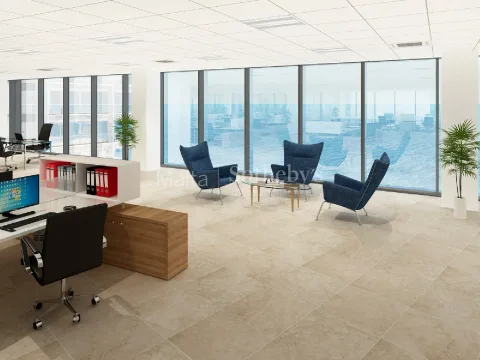 0 bed Office For Rent in Sliema, Sliema - thumb 5