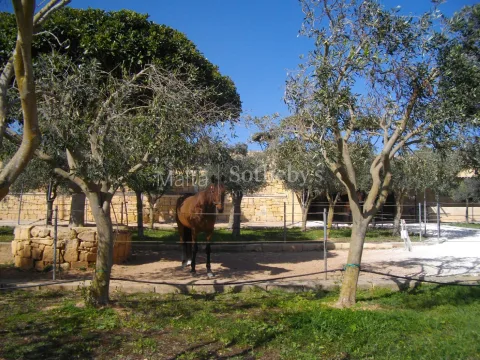 3 bed Farmhouse For Sale in Birzebbugia, Birzebbugia - thumb 8