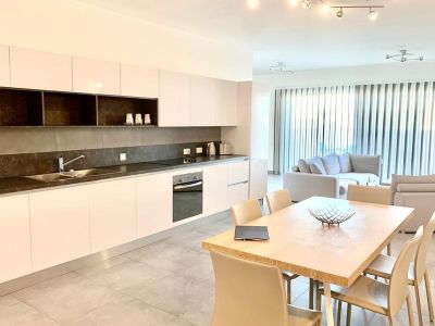 3 bed Penthouse For Rent in Ibragg, Ibragg - thumb 12