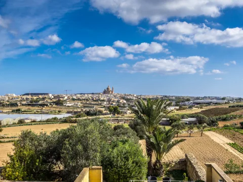 5 bed House of Character For Sale in Sannat, Gozo, Sannat, Gozo - thumb 22