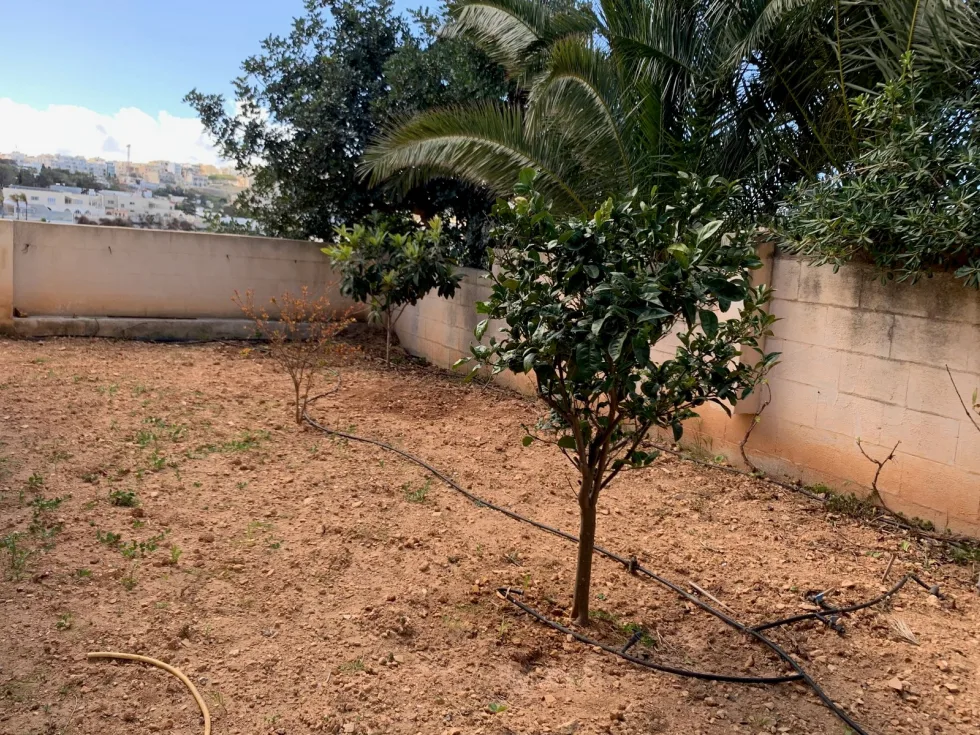 3 bed Villa For Rent in Mellieha, Mellieha - thumb 16