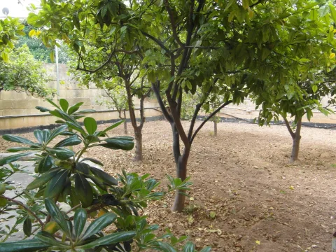 5 bed Villa For Rent in San Gwann, San Gwann - thumb 8