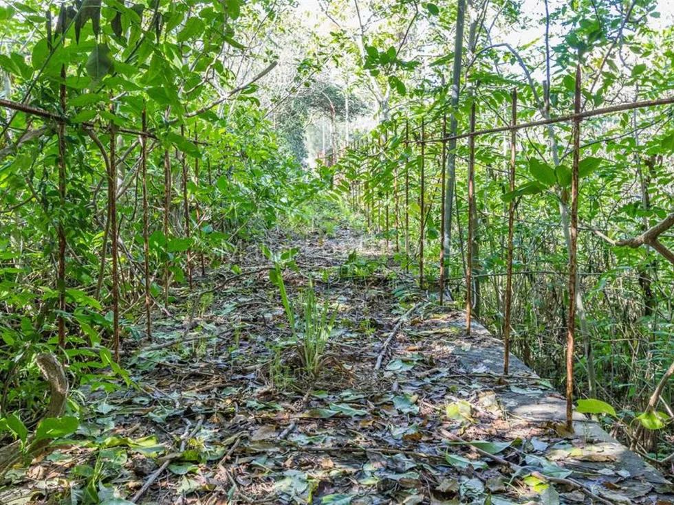 0 bed Palazzo For Sale in Ghaxaq, Ghaxaq - thumb 8