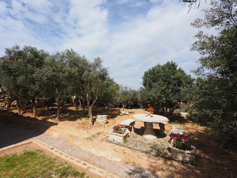 2 bed Farmhouse For Sale in Dingli, Dingli - thumb 1