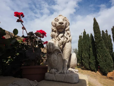 2 bed Farmhouse For Sale in Dingli, Dingli - thumb 11