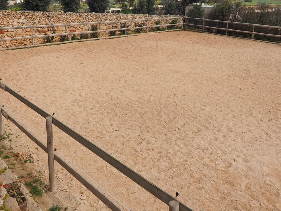 2 bed Farmhouse For Sale in Dingli, Dingli - thumb 12