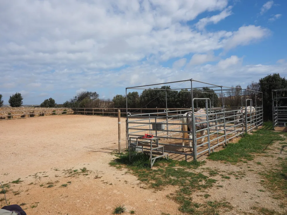 2 bed Farmhouse For Sale in Dingli, Dingli - thumb 13