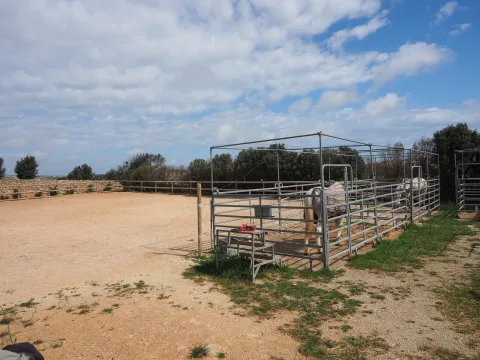 2 bed Farmhouse For Sale in Dingli, Dingli - thumb 13