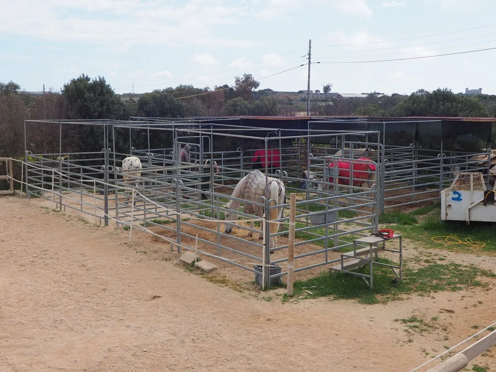 2 bed Farmhouse For Sale in Dingli, Dingli - thumb 5