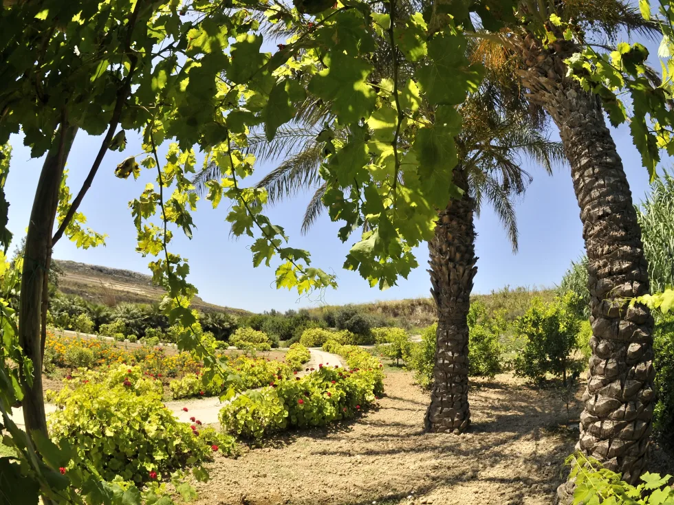 1 bed Apartment For Rent in San Lawrenz, San Lawrenz - thumb 3