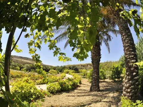 1 bed Apartment For Rent in San Lawrenz, San Lawrenz - thumb 3