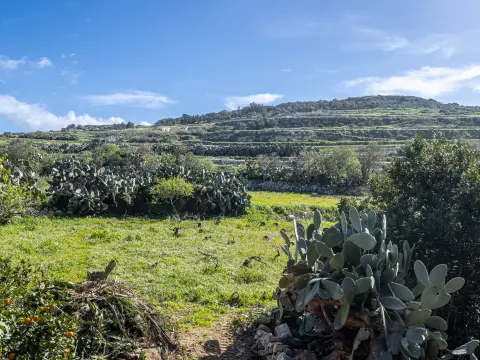 3 bed Farmhouse For Rent in Mgarr, Mgarr - thumb 11